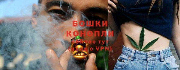 МДПВ Лагань