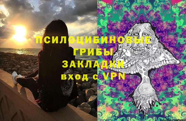 МДПВ Лагань