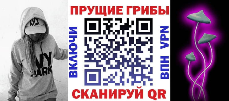 Псилоцибиновые грибы Psilocybe  дарк нет формула  Чухлома 